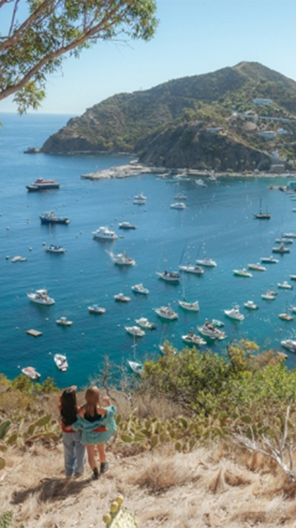 アナハイム タビジョ